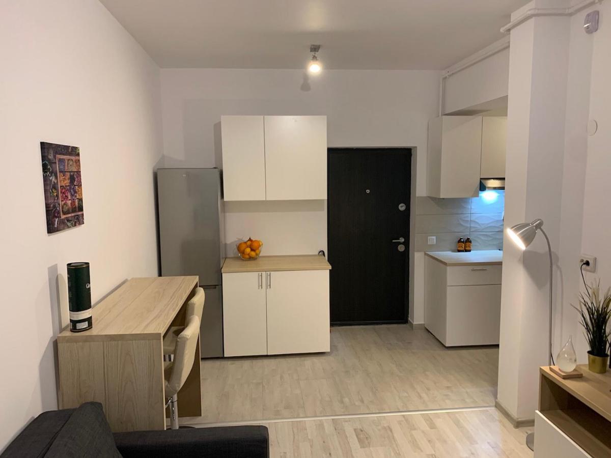 Ray Luxury Apartment Close To Presidential Palace Bucharest Luaran gambar